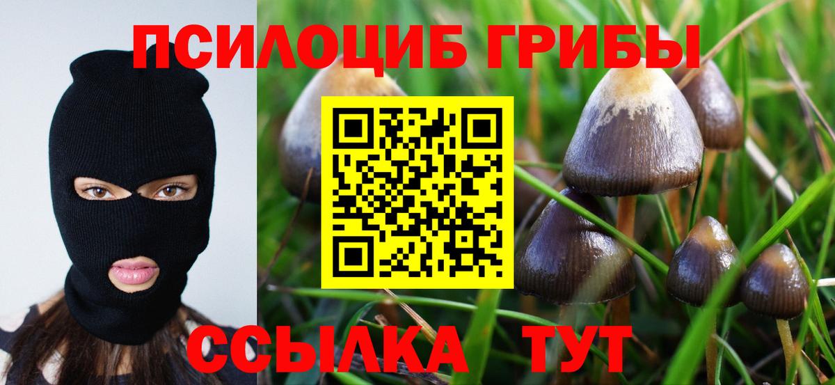 Галлюциногенные грибы Magic Shrooms  Галлюциногенные грибы прущие грибы  Вход с VPN  Абинск 